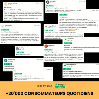 Résine de Shilajit Sensa