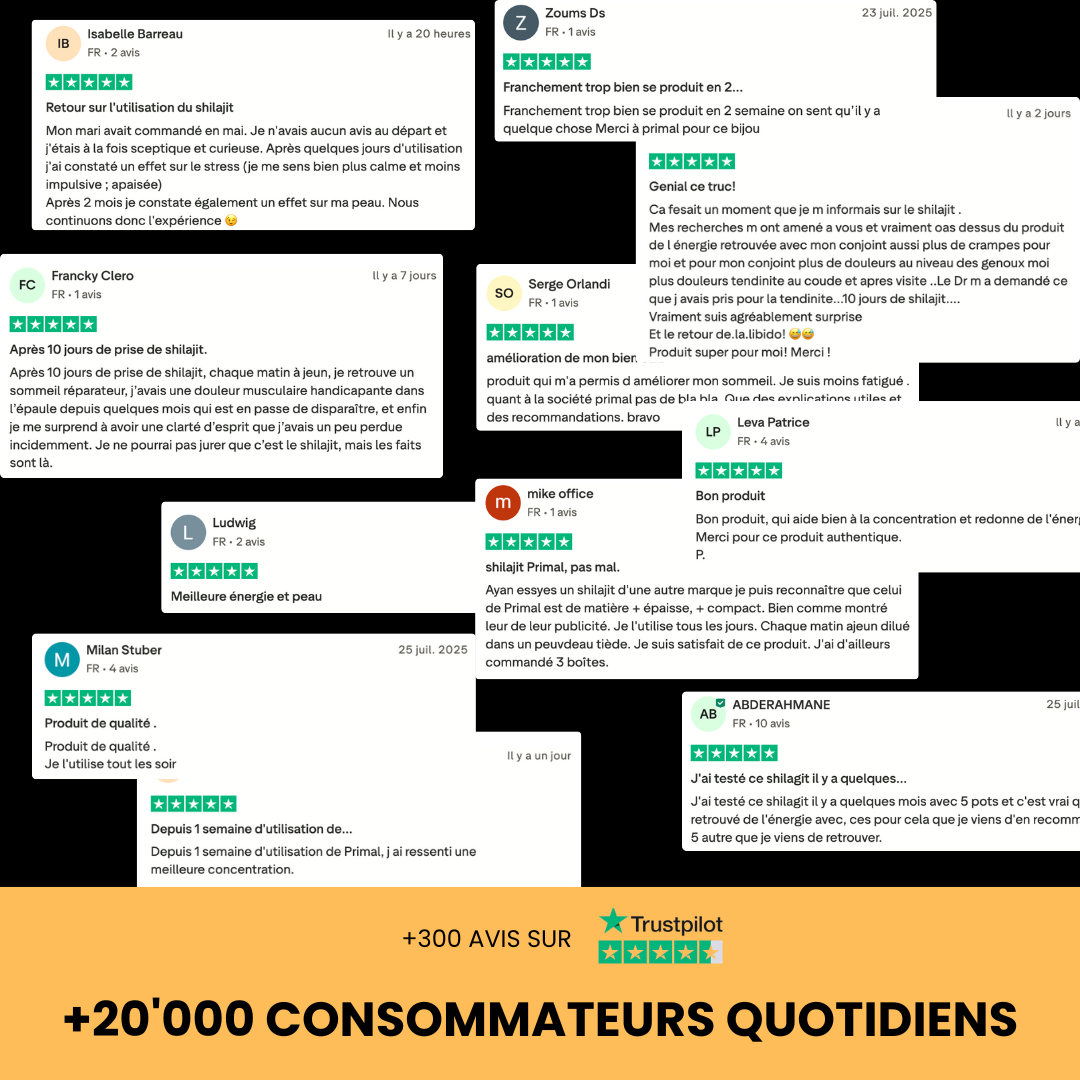 Résine de Shilajit Sensa